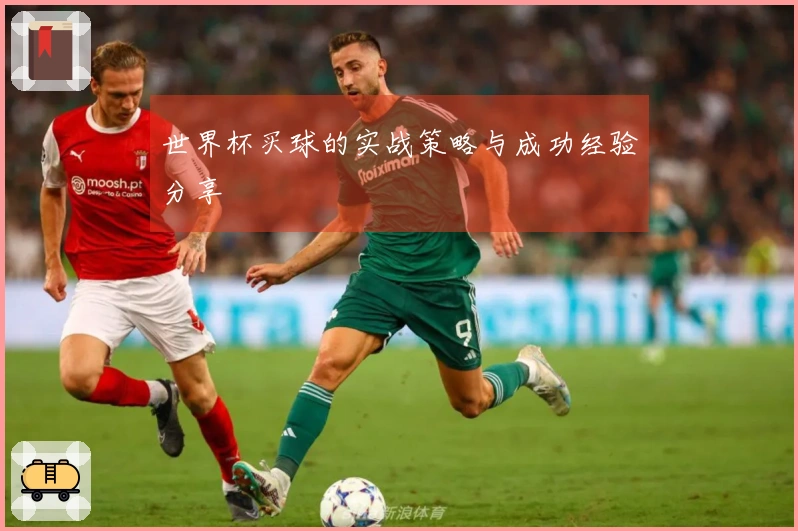 世界杯买球的实战策略与成功经验分享