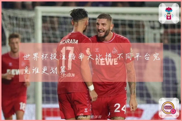 世界杯投注赔率大比拼 不同平台究竟谁更划算