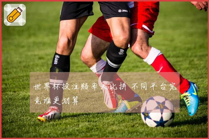 世界杯投注赔率大比拼 不同平台究竟谁更划算