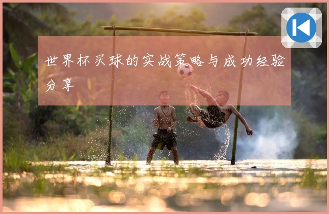世界杯买球的实战策略与成功经验分享