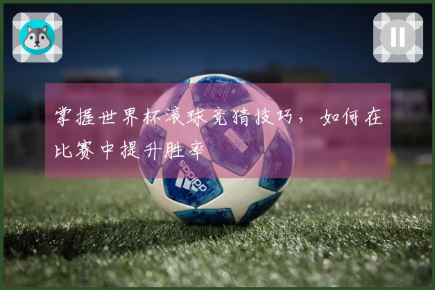 掌握世界杯滚球竞猜技巧，如何在比赛中提升胜率