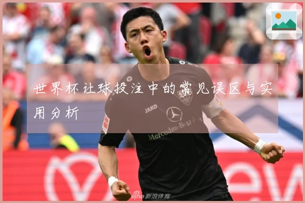 世界杯让球投注中的常见误区与实用分析