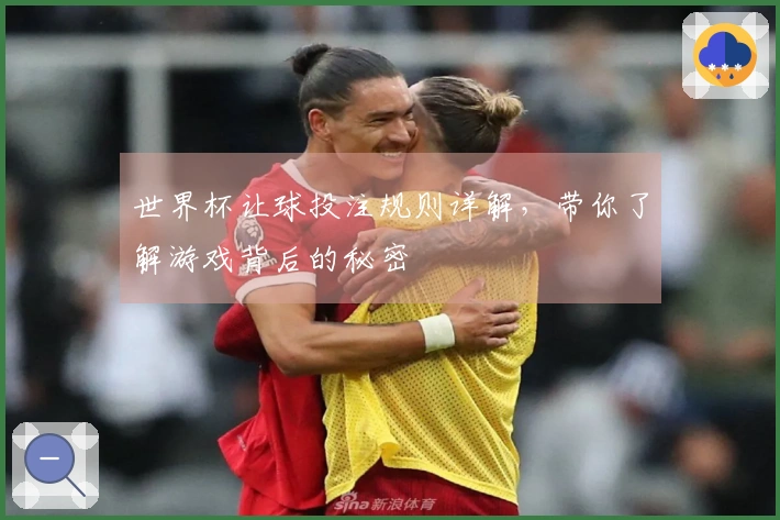 世界杯让球投注规则详解,带你了解游戏背后的秘密