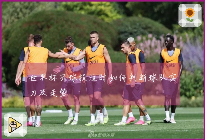 世界杯买球投注时如何判断球队实力及走势