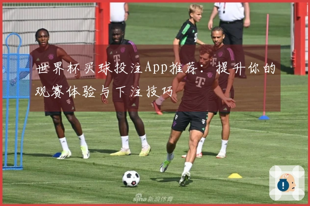 世界杯买球投注App推荐：提升你的观赛体验与下注技巧